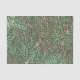 Papel De Seda Colorado 5 2