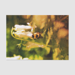 Papel De Seda Columbine Flower E Bumble Bee Vintage Decoupage
