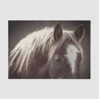 Papel De Seda Coluna de Pé Alto