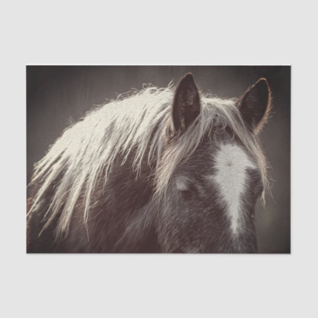 Papel De Seda Coluna de Pé Alto (Frente )