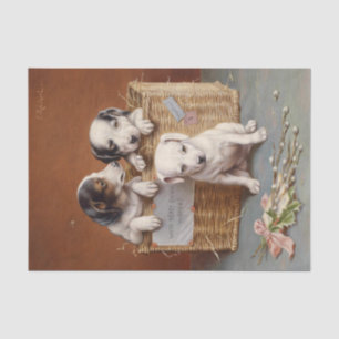 Papel De Seda Com bons desejos de Carl Reichert