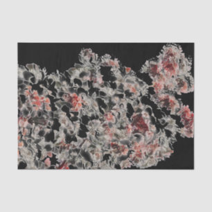 Papel De Seda Como Lace