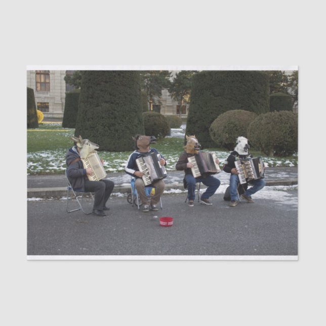 Papel De Seda concerto de animais (Frente )