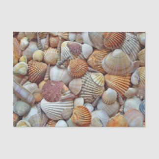 Papel De Seda Conchas marítimas