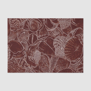 Papel De Seda Conchas Marrons Branco Tom Terra Oceano Praia