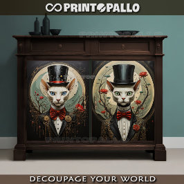 Papel De Seda Conexão de alienígena - casal de gatos com o chapé