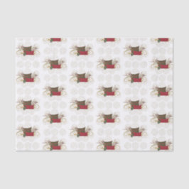 Papel De Seda Conforto e Joy Armsit