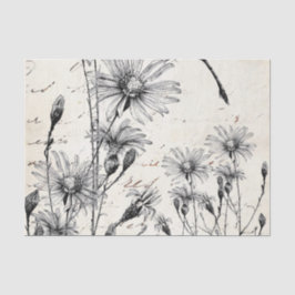 Papel De Seda Conjunto de Dissociação de Dragonfly Dragonfly em 