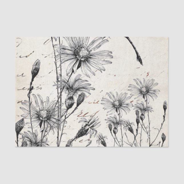 Papel De Seda Conjunto de Dissociação de Dragonfly Dragonfly em  (Frente )