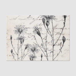 Papel De Seda Conjunto de Dissociação de Dragonfly Dragonfly em 