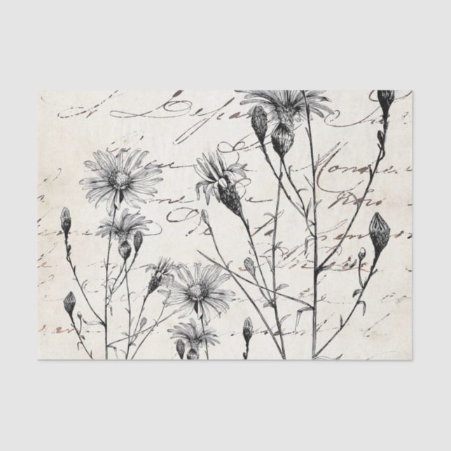 Papel De Seda Conjunto de Dissociação de Dragonfly Dragonfly em  (Frente )