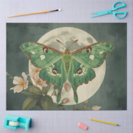 Papel De Seda Conservatório de Mariposa Luna