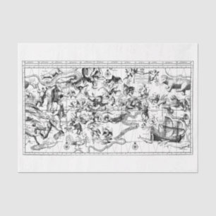 Papel De Seda Constelações do Zodíaco Livro Branco Preto