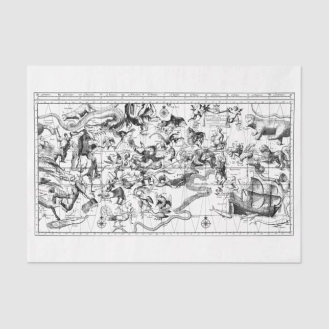 Papel De Seda Constelações do Zodíaco Livro Branco Preto (Frente )