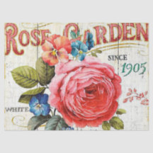 Cor-de-rosa vítreo rosa qualquer tecido destinado