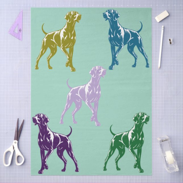 Papel De Seda Cor Weimaraner colorida (Arte )