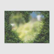 Coração Tópico Verde