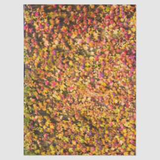 Papel De Seda Cores de outono dourado na parede de hera