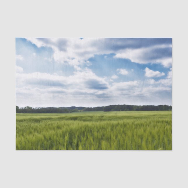 Papel De Seda Cornfields Verdes e Céu Azul (Frente )