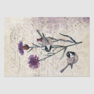 Papel De Seda Corpo Cornflower Chickadee Bird - Script Francês