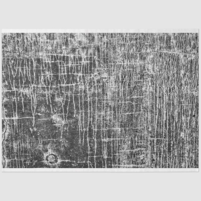 Papel De Seda correr das paredes (Frente )