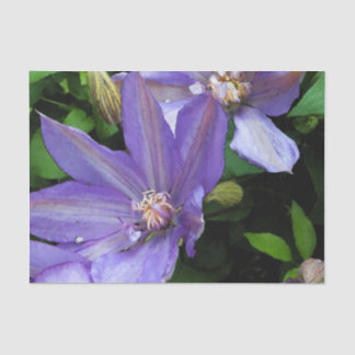 Papel De Seda Corriola roxa Decoupage