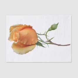 Papel De Seda Corte de rosa solteiro