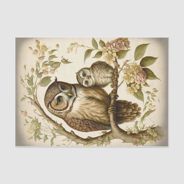 Papel De Seda Coruja e Bebê (Frente )