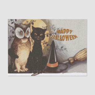 Papel De Seda Coruja e Cat Halloween