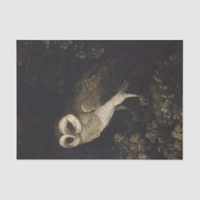 Papel De Seda Coruja no Fundo Escuro (Frente )