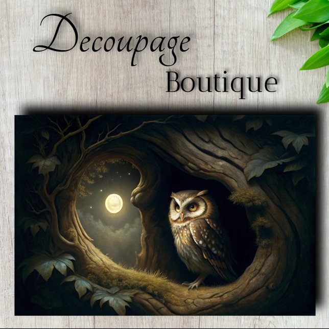 Papel De Seda Coruja Sonhadora da Meia-Noite Decoupage (Midnight Dreamer Owl Decoupage Tissue Paper)