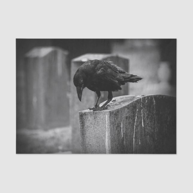 Papel De Seda Corvo do cemitério de Falln (Frente )
