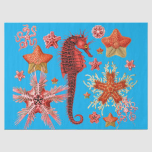 Papel De Seda COSTUME VERMELHO E MARÍTIMOS EM AQUA BLUE Sea Lif