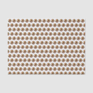 Papel De Seda Cozinhar Etíope - Comida Púltimo Injera Wat Lentil