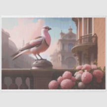 Cravos de Pássaros Franceses