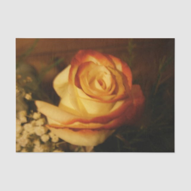 Papel De Seda Creme Rosa (Frente )