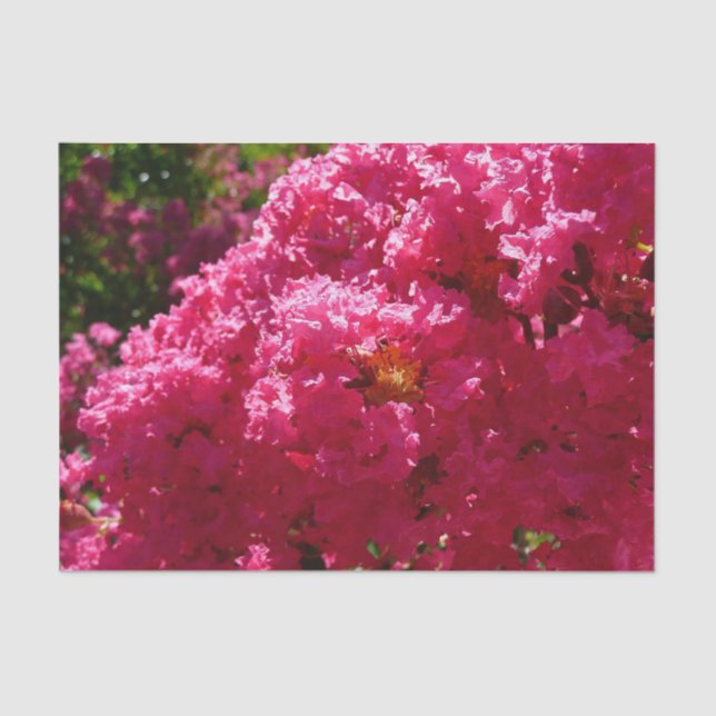 Papel De Seda Crepe Myrtle Tree Magenta Floral (Frente )