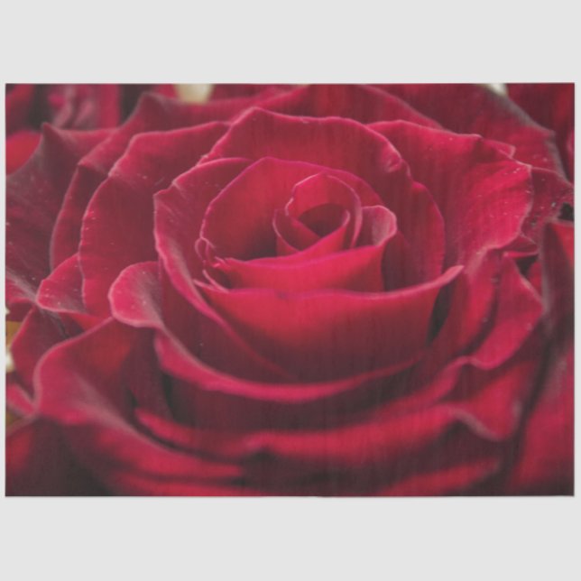 Papel De Seda Criado para sua elegante personalização de saudaçã (Frente )