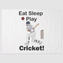 Críquete Esportes Comer Dormir Jogar Críquete
