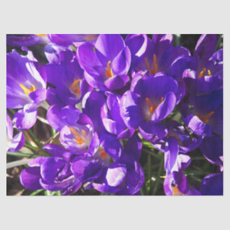 PAPEL DE SEDA CROCO DA PRIMAVERA