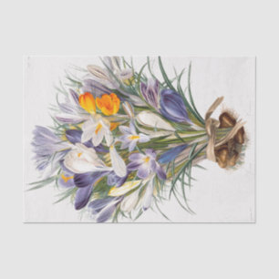 Papel De Seda Crocus Primavera Fllower Arte Floral