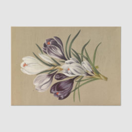 Papel De Seda Crocus Vernus. Var. por Arentina Hendrica Arendsen