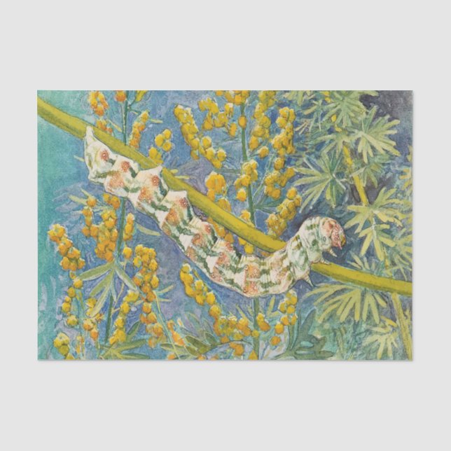 Papel De Seda Cucullia Absinthii Wormwood Caterln (Frente )