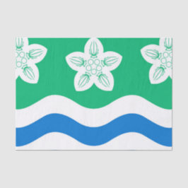 Papel De Seda Cumberland (distrito do Reino Unido)