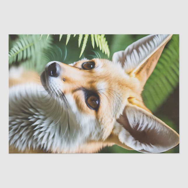 Papel De Seda Cunning Fennec Fox, (Frente )