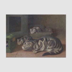 Papel De Seda Curiosidade por Horatio Henry Couldery