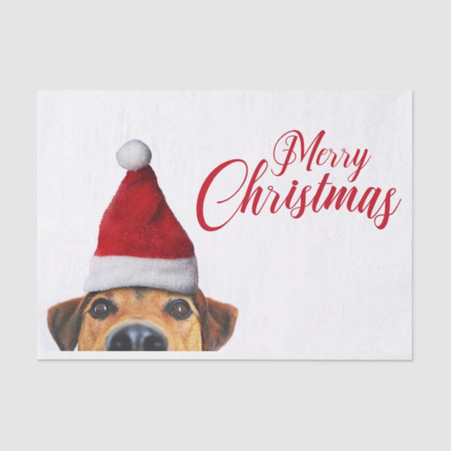 Papel De Seda Curioso Cachorro Engraçado com Papai Noel (Frente )