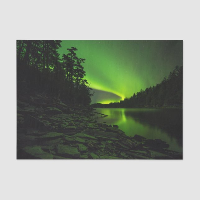 Papel De Seda Curva Aurora (Frente )