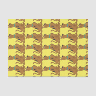 Papel De Seda Cutro De Scooby-Doo Que Bonito