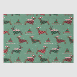 Papel De Seda Dachshances Natal Vestindo Suéter e Santa Hat
